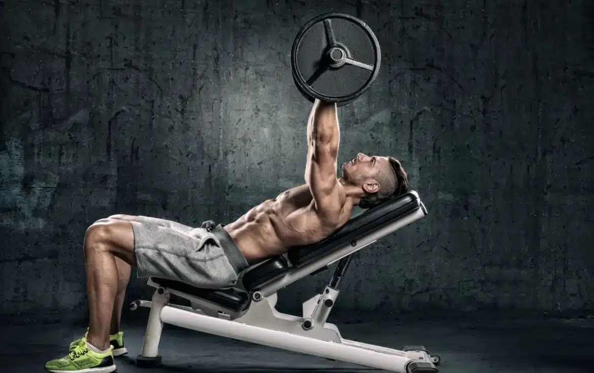 How To Adjust Bench At Gym  How To Adjust Bench At Gym