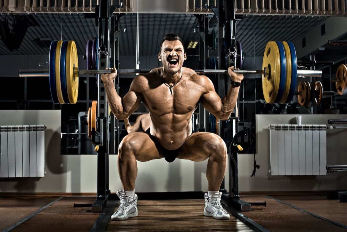 How Much Does A Gym Bar Weigh How Much Does A Gym Bar Weigh