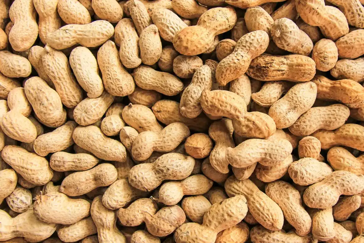 Are Peanuts Good For A Diet
