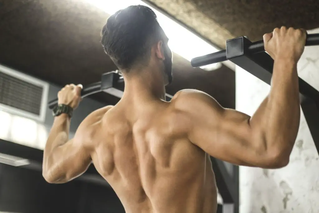 What Muscles Do Pull Ups Workout
