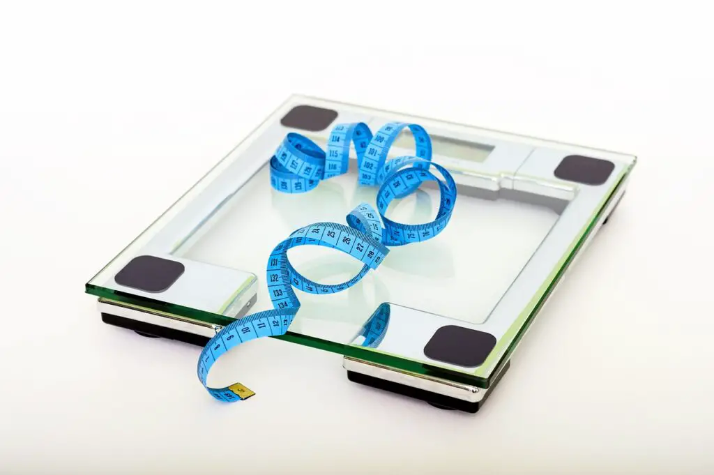 Can Progesterone Help With Weight Loss