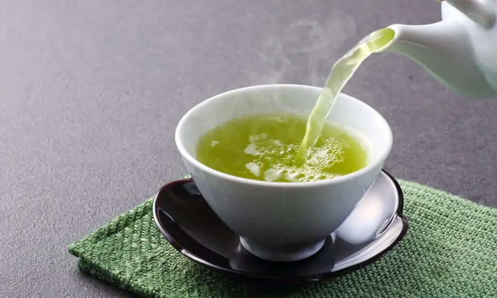 Which Brand Of Green Tea Is Best For Weight Loss