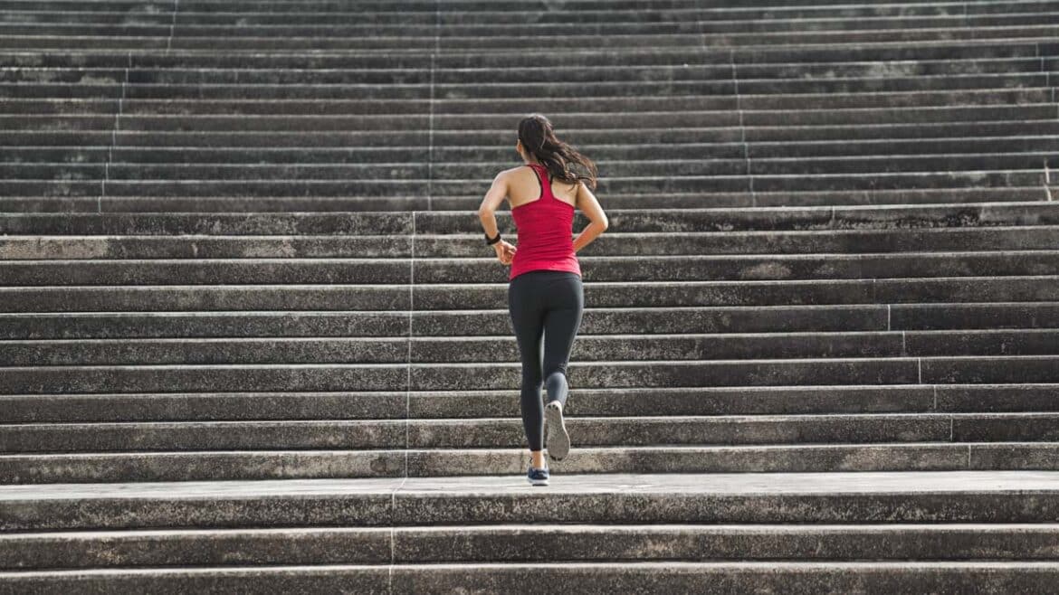 What Do The Stairs At The Gym Do What Do The Stairs At The Gym Do