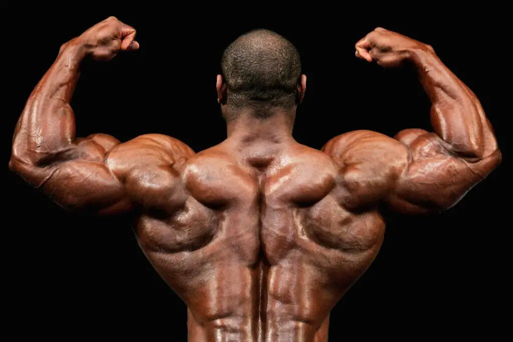 What Is Muscle Memory Bodybuilding