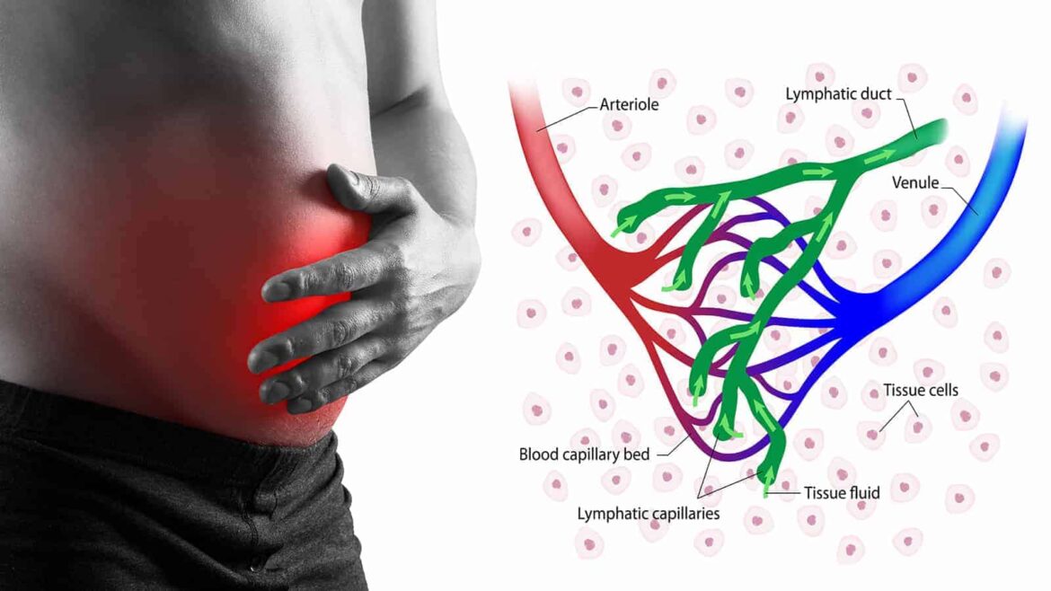 Does Lymphatic Drainage Help With Weight Loss Does Lymphatic Drainage Help With Weight Loss
