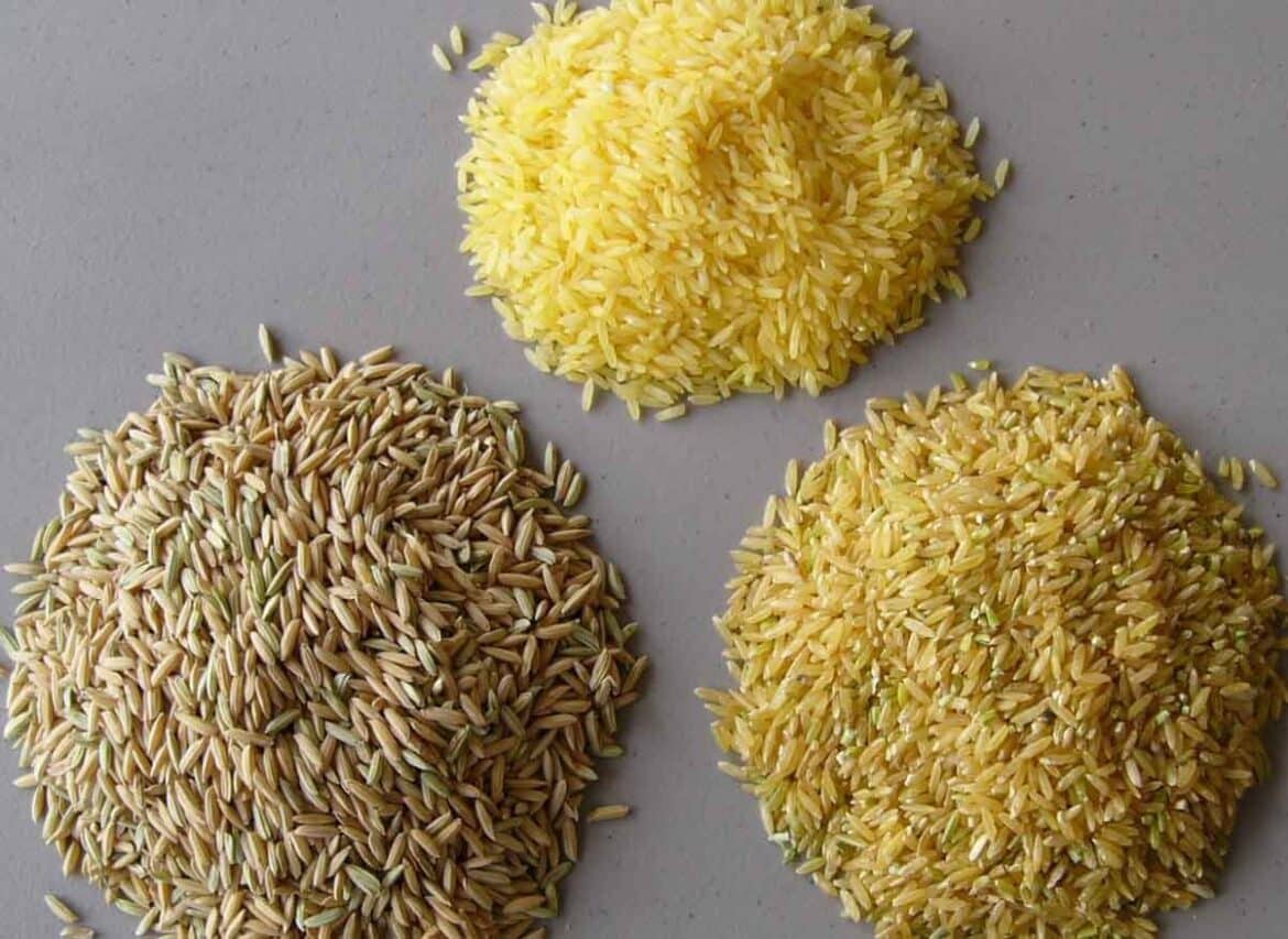 Is Yellow Rice Good For Weight Loss Is Yellow Rice Good For Weight Loss