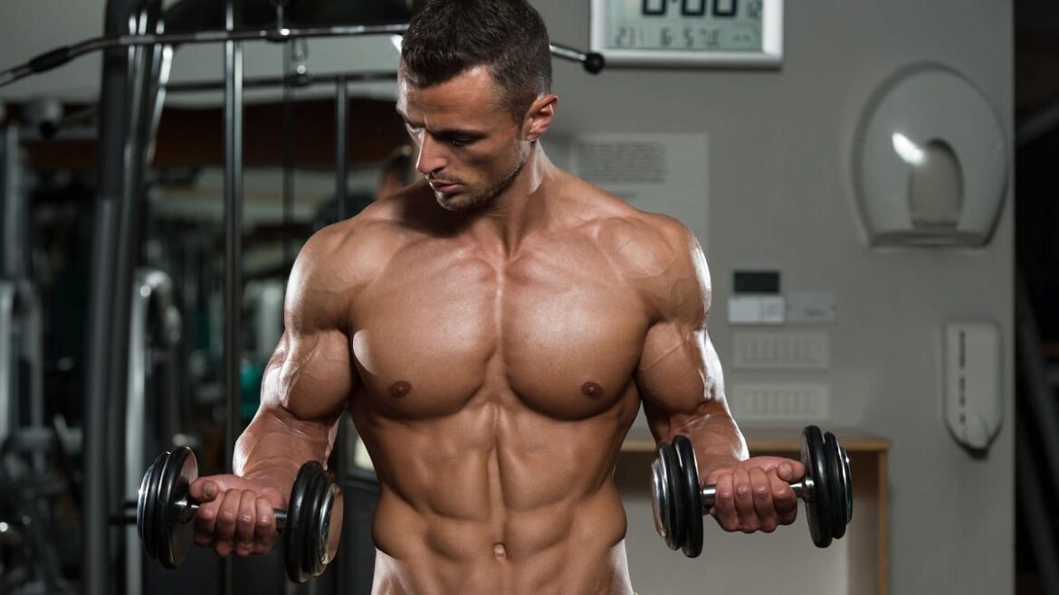 Is Honey Good For Bodybuilding