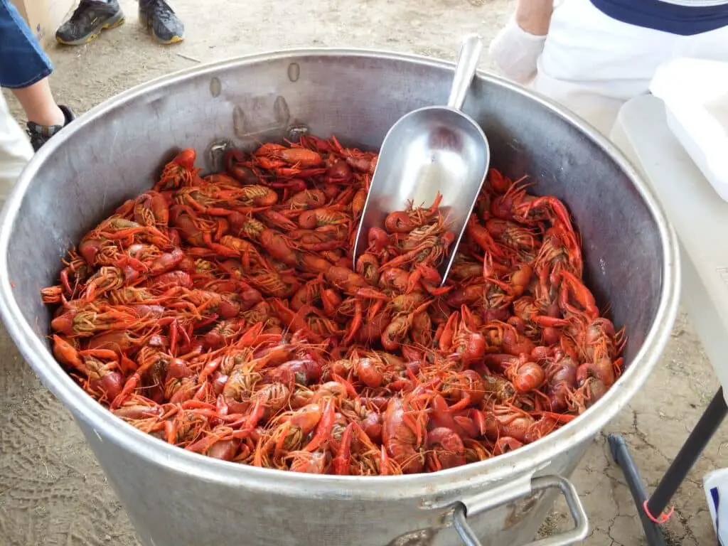 Is Crawfish Good For Weight Loss