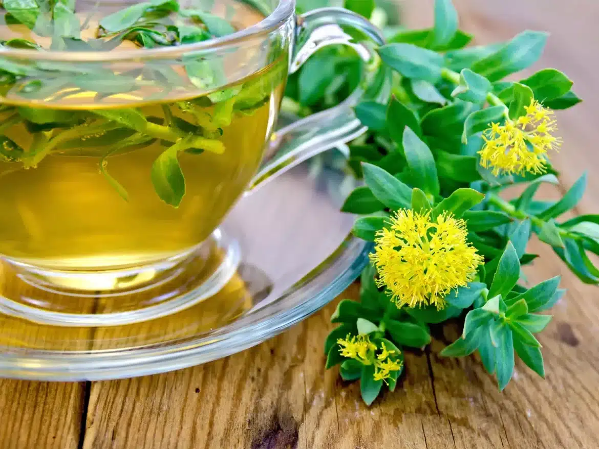 How Much Rhodiola For Weight Loss