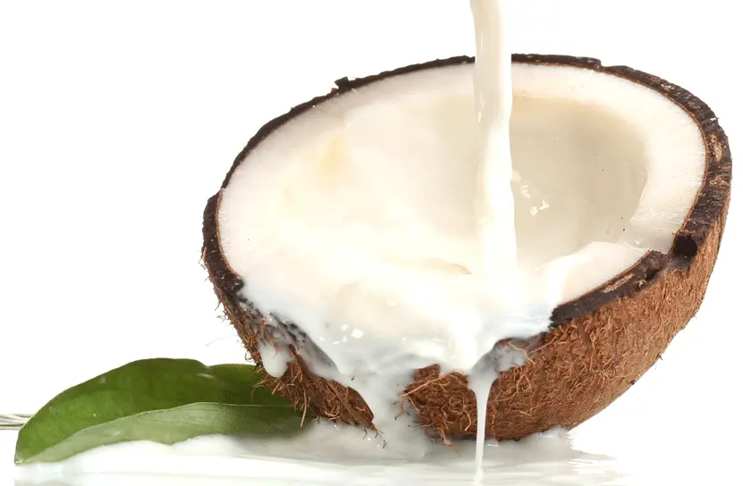 How To Use Coconut Milk For Weight Loss