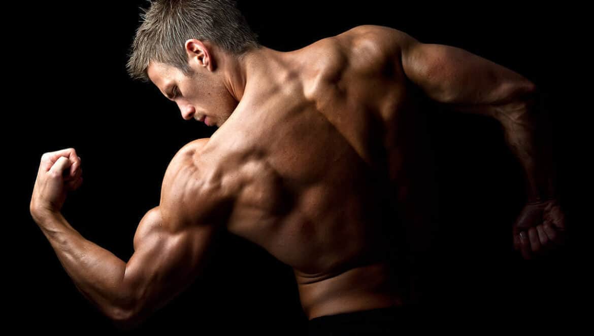 Are Tamales Good For Bodybuilding Are Tamales Good For Bodybuilding