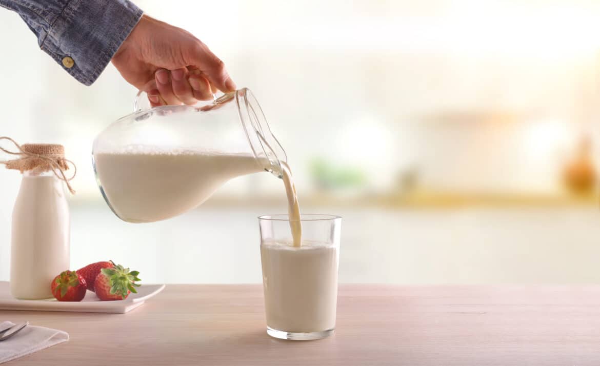 Which Milk Is Good For Weight Loss