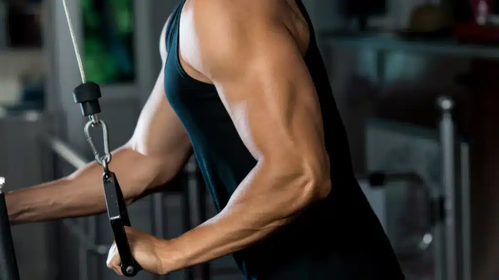 How To Hit All Heads Of The Tricep